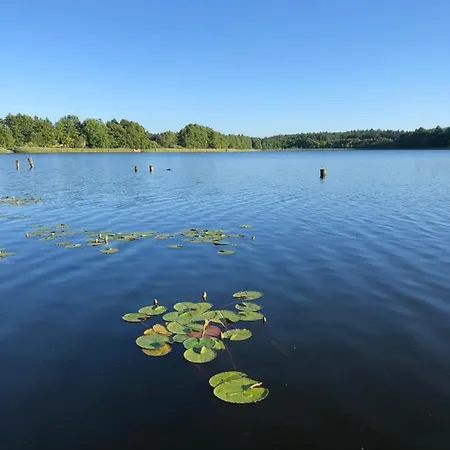 5 Sterne-ferienhaus Eisvogel Am Mit Sauna Und Kamin