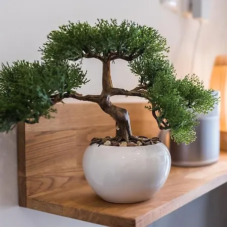 5 Sterne-ferienhaus Eisvogel Am Mit Sauna Und Kamin Casa de Férias *